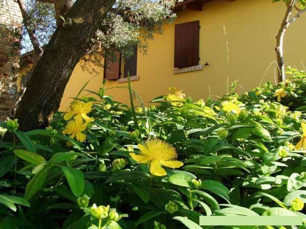 Agriturismo Tenuta Santa Maria Notaresco Exterior foto