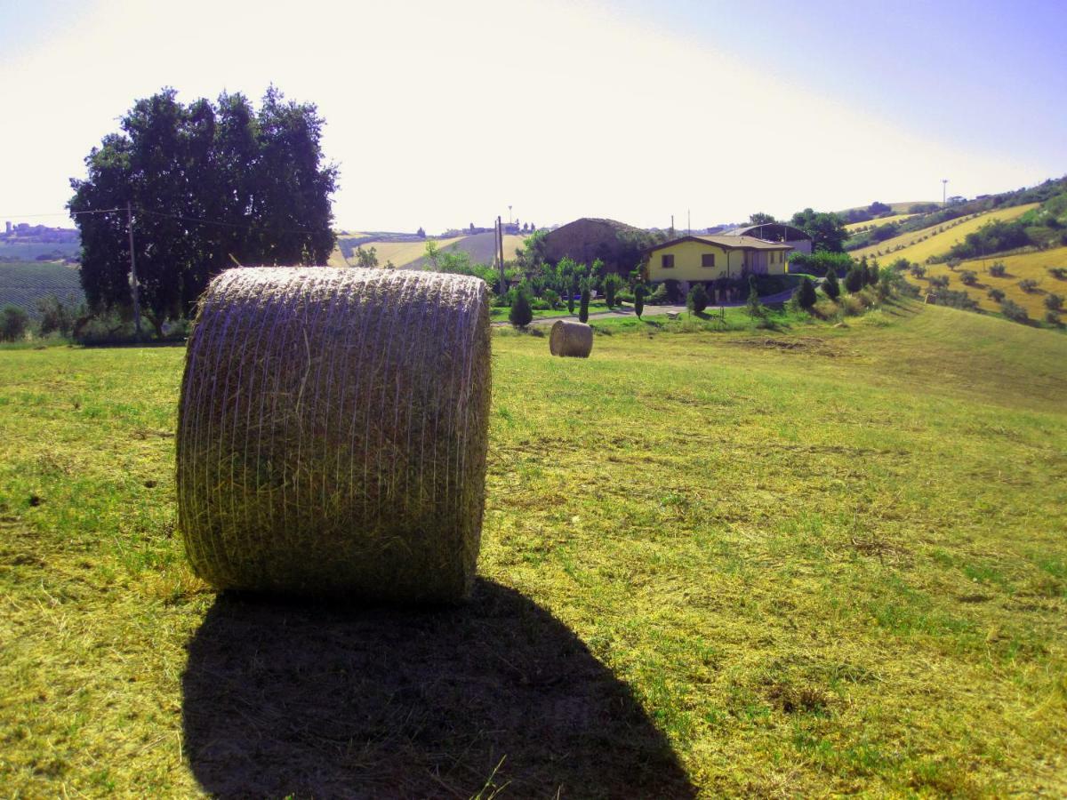 Agriturismo Tenuta Santa Maria Notaresco Exterior foto